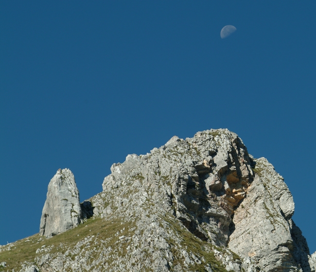 Sculture naturali